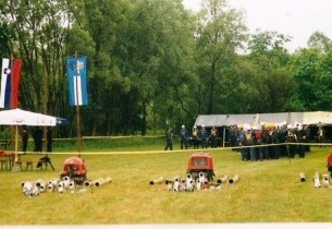 Gasilsko občinsko tekmovanje v Ropoči leta 2000